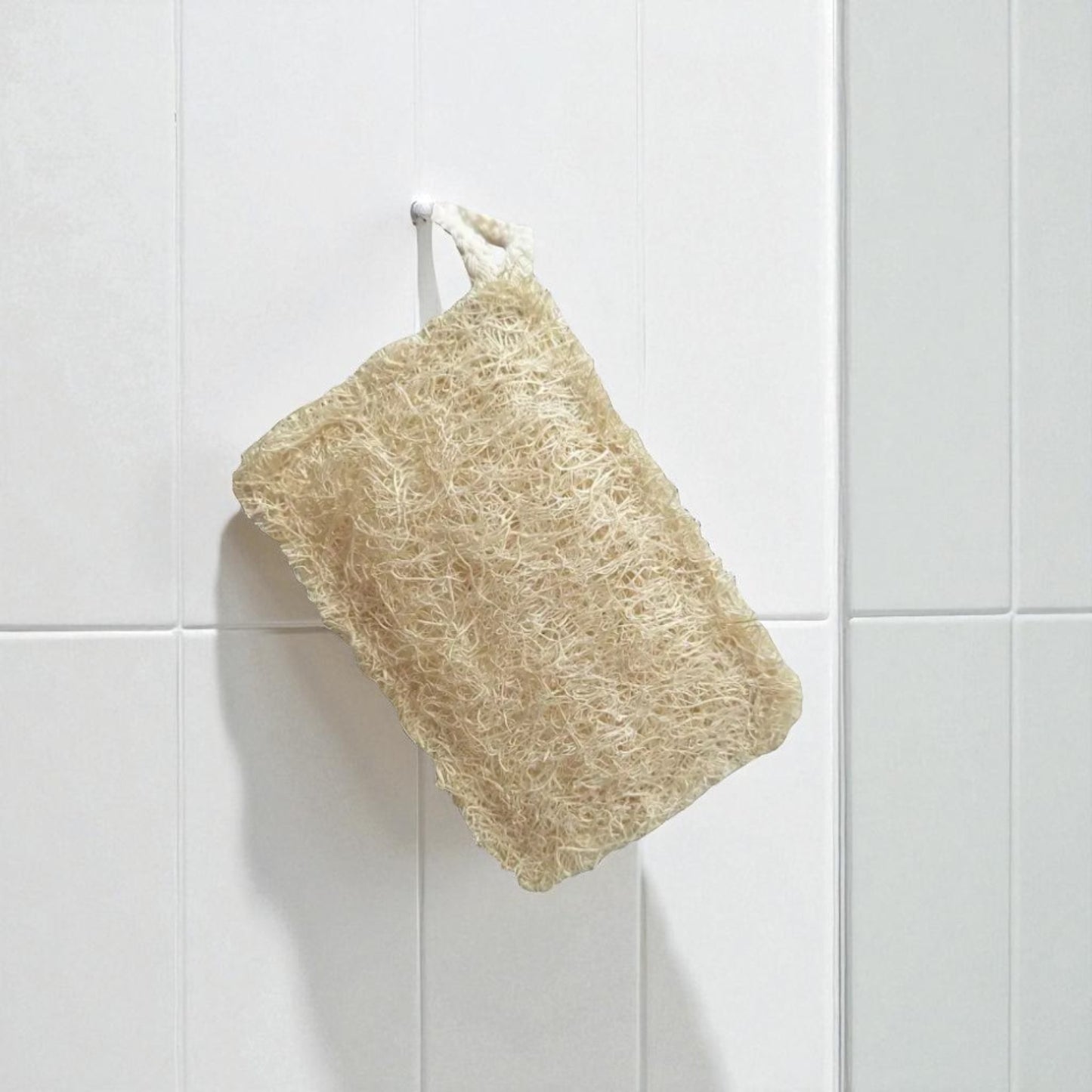 Loofah Sponge