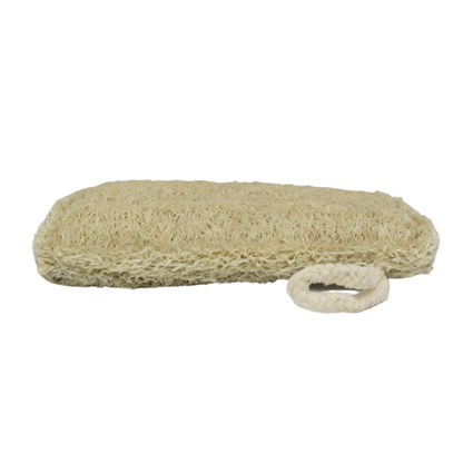 Loofah Sponge