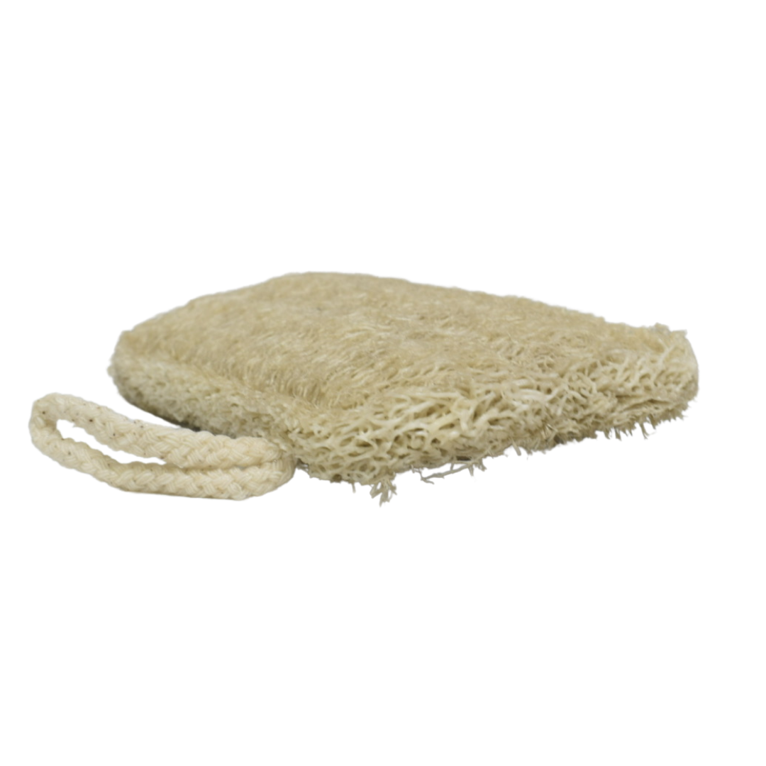 Loofah Sponge