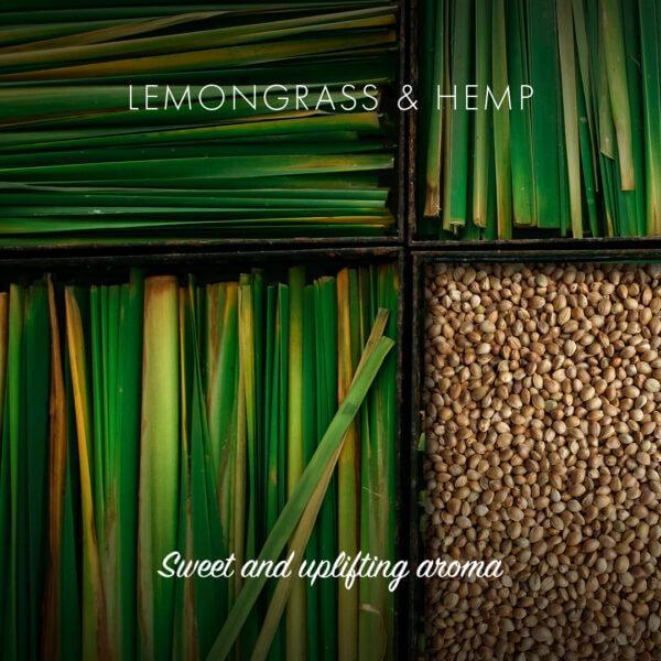 Lemongrass & Hemp Soap (95g) - Eco Earth Market