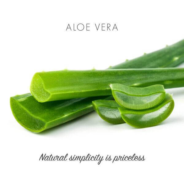 Aloe Vera Soap (95g) - Eco Earth Market