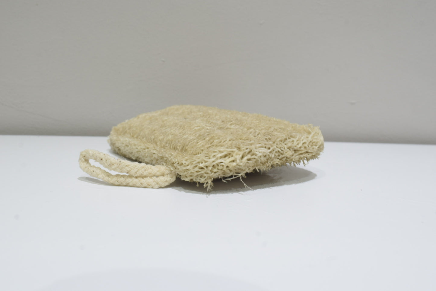 Loofah Sponge